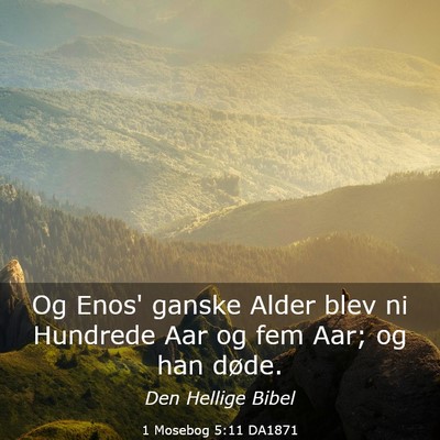 Picture 03 - 1 Mosebog 5:11 DA1871 - Og Enos' ganske Alder blev ni Hundrede Aar og fem - Bible Verse Picture