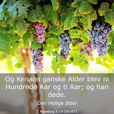 Picture 03 - 1 Mosebog 5:14 DA1871 - Og Kenans ganske Alder blev ni Hundrede Aar og ti - Bible Verse Picture
