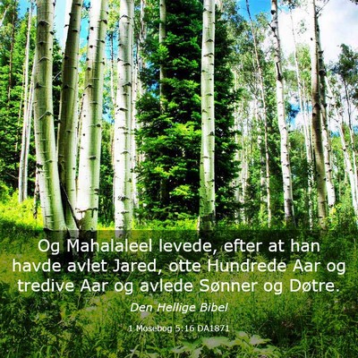 Picture 03 - 1 Mosebog 5:16 DA1871 - Og Mahalaleel levede, efter at han havde avlet - Bible Verse Picture
