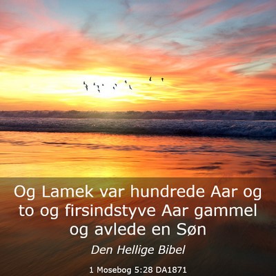 Picture 03 - 1 Mosebog 5:28 DA1871 - Og Lamek var hundrede Aar og to og firsindstyve - Bible Verse Picture