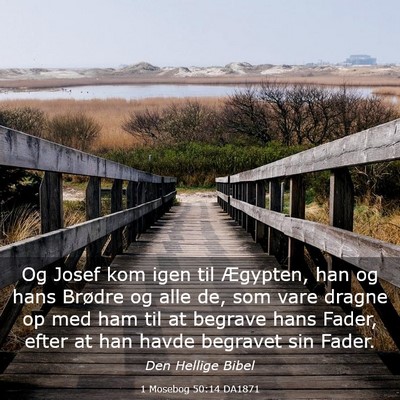 Picture 03 - 1 Mosebog 50:14 DA1871 - Og Josef kom igen til Ægypten, han og hans - Bible Verse Picture