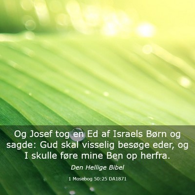 Picture 03 - 1 Mosebog 50:25 DA1871 - Og Josef tog en Ed af Israels Børn og sagde: Gud - Bible Verse Picture