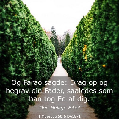Picture 03 - 1 Mosebog 50:6 DA1871 - Og Farao sagde: Drag op og begrav din Fader, - Bible Verse Picture