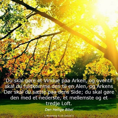 Picture 03 - 1 Mosebog 6:16 DA1871 - Du skal gøre et Vindue paa Arken, og oventil - Bible Verse Picture
