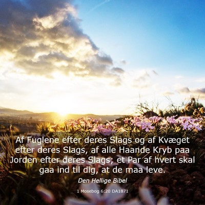 Picture 03 - 1 Mosebog 6:20 DA1871 - Af Fuglene efter deres Slags og af Kvæget efter - Bible Verse Picture
