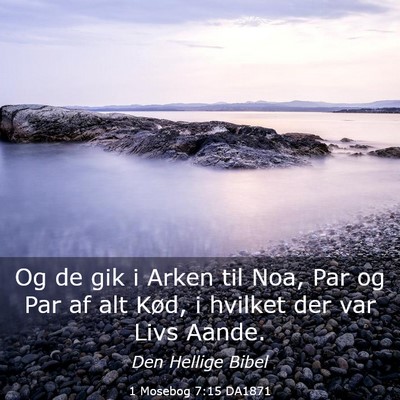 Picture 03 - 1 Mosebog 7:15 DA1871 - Og de gik i Arken til Noa, Par og Par af alt - Bible Verse Picture