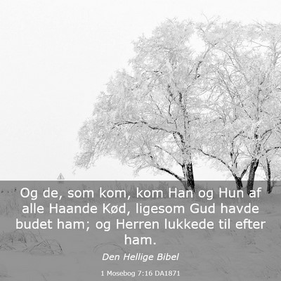Picture 03 - 1 Mosebog 7:16 DA1871 - Og de, som kom, kom Han og Hun af alle Haande - Bible Verse Picture
