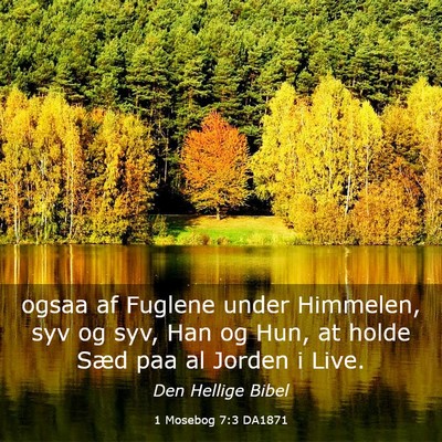 Picture 03 - 1 Mosebog 7:3 DA1871 - ogsaa af Fuglene under Himmelen, syv og syv, Han - Bible Verse Picture
