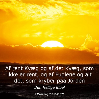 Picture 03 - 1 Mosebog 7:8 DA1871 - Af rent Kvæg og af det Kvæg, som ikke er rent, - Bible Verse Picture