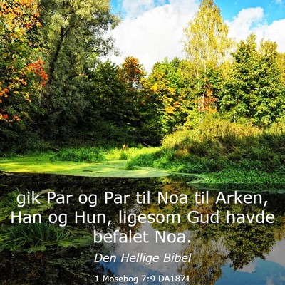Picture 03 - 1 Mosebog 7:9 DA1871 - gik Par og Par til Noa til Arken, Han og Hun, - Bible Verse Picture