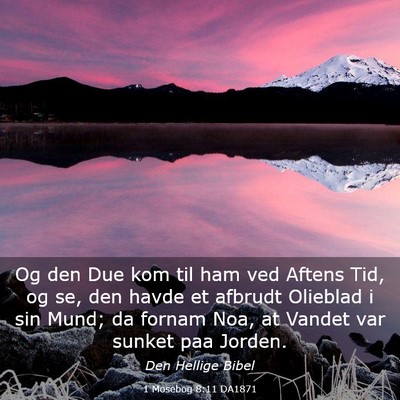 Picture 03 - 1 Mosebog 8:11 DA1871 - Og den Due kom til ham ved Aftens Tid, og se, den - Bible Verse Picture