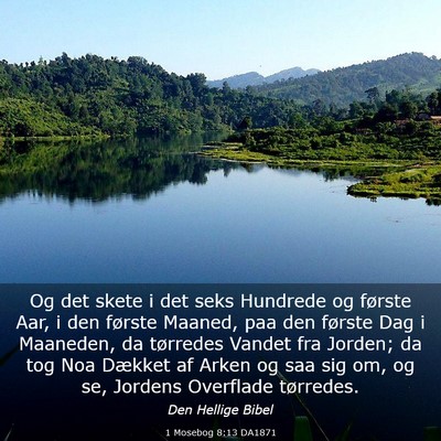 Picture 03 - 1 Mosebog 8:13 DA1871 - Og det skete i det seks Hundrede og første Aar, - Bible Verse Picture