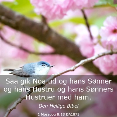 Picture 03 - 1 Mosebog 8:18 DA1871 - Saa gik Noa ud og hans Sønner og hans Hustru og - Bible Verse Picture