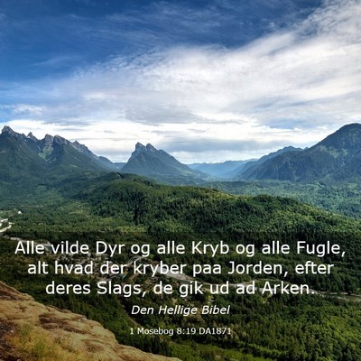Picture 03 - 1 Mosebog 8:19 DA1871 - Alle vilde Dyr og alle Kryb og alle Fugle, alt - Bible Verse Picture