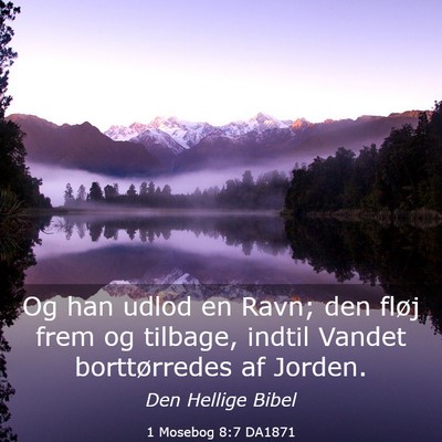 Picture 03 - 1 Mosebog 8:7 DA1871 - Og han udlod en Ravn; den fløj frem og tilbage, - Bible Verse Picture