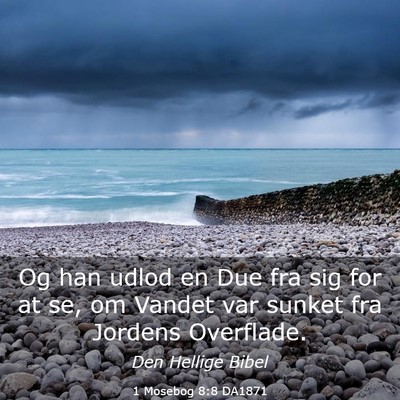 Picture 03 - 1 Mosebog 8:8 DA1871 - Og han udlod en Due fra sig for at se, om Vandet - Bible Verse Picture