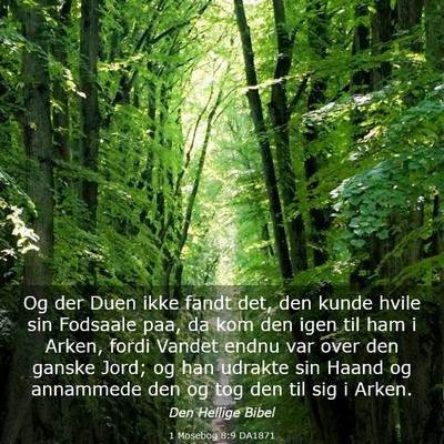 Picture 03 - 1 Mosebog 8:9 DA1871 - Og der Duen ikke fandt det, den kunde hvile sin - Bible Verse Picture