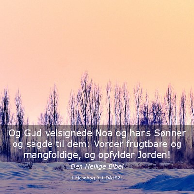 Picture 03 - 1 Mosebog 9:1 DA1871 - Og Gud velsignede Noa og hans Sønner og sagde - Bible Verse Picture