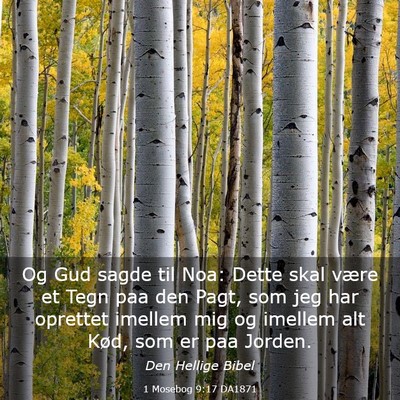 Picture 03 - 1 Mosebog 9:17 DA1871 - Og Gud sagde til Noa: Dette skal være et Tegn - Bible Verse Picture