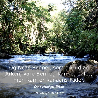 Picture 03 - 1 Mosebog 9:18 DA1871 - Og Noas Sønner, som gik ud ad Arken, vare Sem og - Bible Verse Picture
