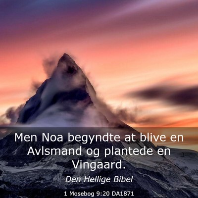 Picture 03 - 1 Mosebog 9:20 DA1871 - Men Noa begyndte at blive en Avlsmand og plantede - Bible Verse Picture