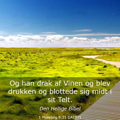 Picture 03 - 1 Mosebog 9:21 DA1871 - Og han drak af Vinen og blev drukken og blottede - Bible Verse Picture