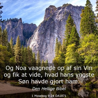 Picture 03 - 1 Mosebog 9:24 DA1871 - Og Noa vaagnede op af sin Vin og fik at vide, - Bible Verse Picture