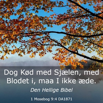Picture 03 - 1 Mosebog 9:4 DA1871 - Dog Kød med Sjælen, med Blodet i, maa I ikke - Bible Verse Picture