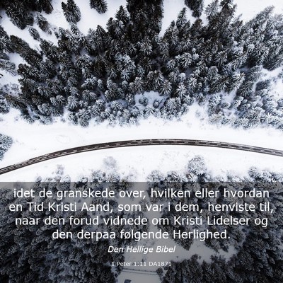 Picture 03 - 1 Peter 1:11 DA1871 - idet de granskede over, hvilken eller hvordan en - Bible Verse Picture