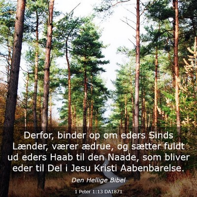 Picture 03 - 1 Peter 1:13 DA1871 - Derfor, binder op om eders Sinds Lænder, værer - Bible Verse Picture