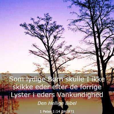 Picture 03 - 1 Peter 1:14 DA1871 - Som lydige Børn skulle I ikke skikke eder efter - Bible Verse Picture