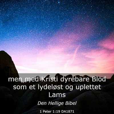 Picture 03 - 1 Peter 1:19 DA1871 - men med Kristi dyrebare Blod som et lydeløst og - Bible Verse Picture