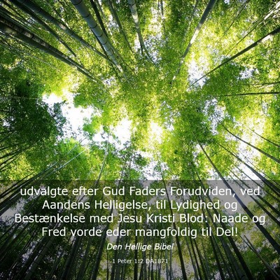 Picture 03 - 1 Peter 1:2 DA1871 - udvalgte efter Gud Faders Forudviden, ved Aandens - Bible Verse Picture