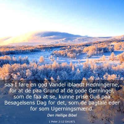 Picture 03 - 1 Peter 2:12 DA1871 - saa I føre en god Vandel iblandt Hedningerne, - Bible Verse Picture