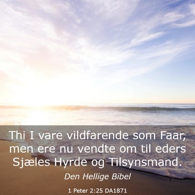 Picture 03 - 1 Peter 2:25 DA1871 - Thi I vare vildfarende som Faar, men ere nu - Bible Verse Picture