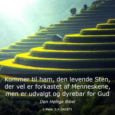 Picture 03 - 1 Peter 2:4 DA1871 - Kommer til ham, den levende Sten, der vel er - Bible Verse Picture