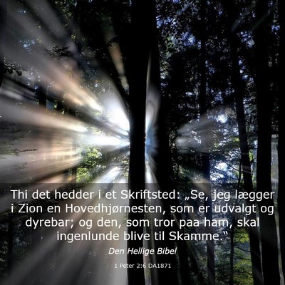 Picture 03 - 1 Peter 2:6 DA1871 - Thi det hedder i et Skriftsted: „Se, jeg - Bible Verse Picture
