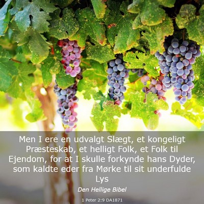 Picture 03 - 1 Peter 2:9 DA1871 - Men I ere en udvalgt Slægt, et kongeligt - Bible Verse Picture