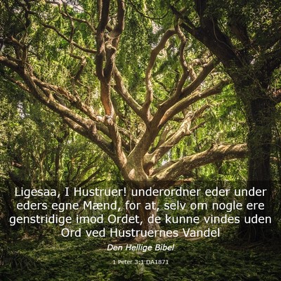 Picture 03 - 1 Peter 3:1 DA1871 - Ligesaa, I Hustruer! underordner eder under eders - Bible Verse Picture