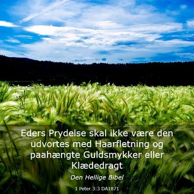 Picture 03 - 1 Peter 3:3 DA1871 - Eders Prydelse skal ikke være den udvortes med - Bible Verse Picture