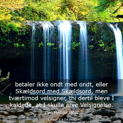 Picture 03 - 1 Peter 3:9 DA1871 - betaler ikke ondt med ondt, eller Skældsord med - Bible Verse Picture