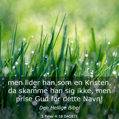 Picture 03 - 1 Peter 4:16 DA1871 - men lider han som en Kristen, da skamme han sig - Bible Verse Picture