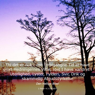 Picture 03 - 1 Peter 4:3 DA1871 - Thi det er nok i den forbigangne Tid at have - Bible Verse Picture