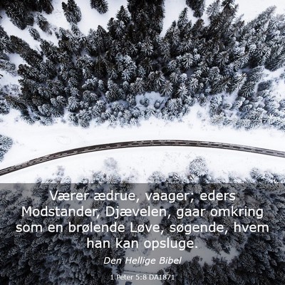 Picture 03 - 1 Peter 5:8 DA1871 - Værer ædrue, vaager; eders Modstander, - Bible Verse Picture