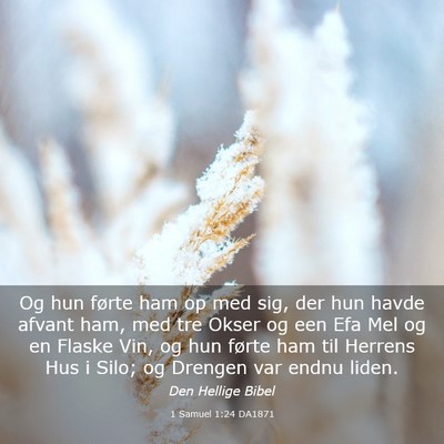 Picture 03 - 1 Samuel 1:24 DA1871 - Og hun førte ham op med sig, der hun havde - Bible Verse Picture