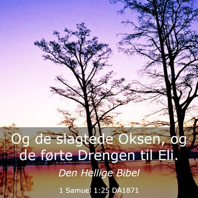 Picture 03 - 1 Samuel 1:25 DA1871 - Og de slagtede Oksen, og de førte Drengen til - Bible Verse Picture