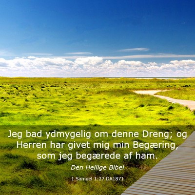 Picture 03 - 1 Samuel 1:27 DA1871 - Jeg bad ydmygelig om denne Dreng; og Herren har - Bible Verse Picture