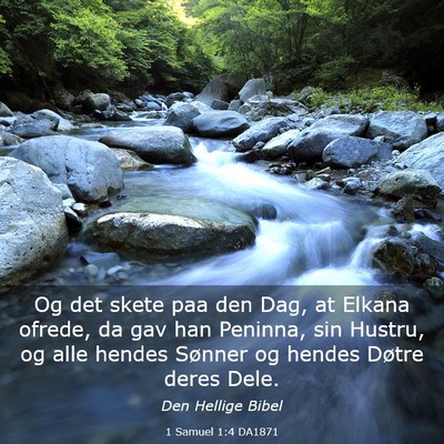 Picture 03 - 1 Samuel 1:4 DA1871 - Og det skete paa den Dag, at Elkana ofrede, da - Bible Verse Picture