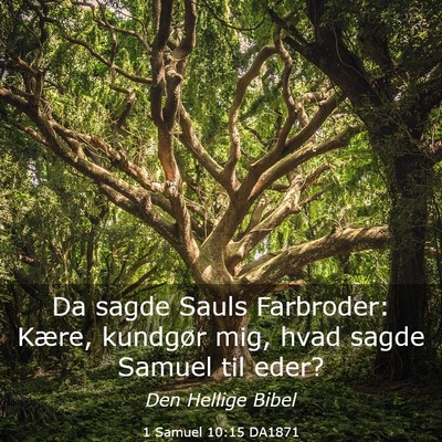 Picture 03 - 1 Samuel 10:15 DA1871 - Da sagde Sauls Farbroder: Kære, kundgør mig, - Bible Verse Picture