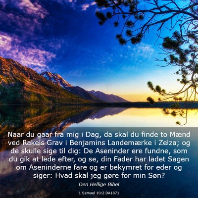 Picture 03 - 1 Samuel 10:2 DA1871 - Naar du gaar fra mig i Dag, da skal du finde to - Bible Verse Picture